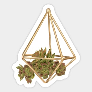 Gold Succulent Planter Sticker